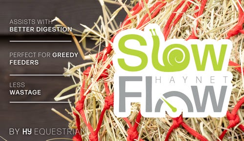 Slow Flow